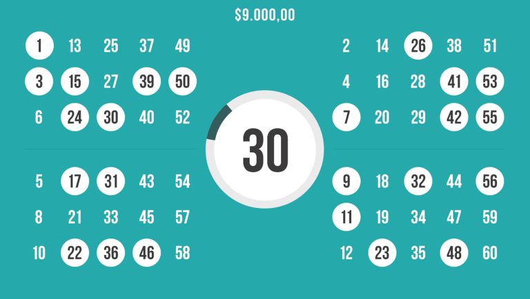go go bingo