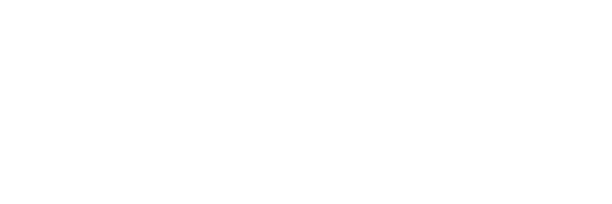 BOS_Logo_1200x400